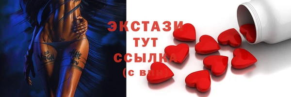 шишки Снежногорск