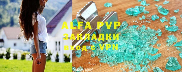 прущие грибы Сосновый Бор
